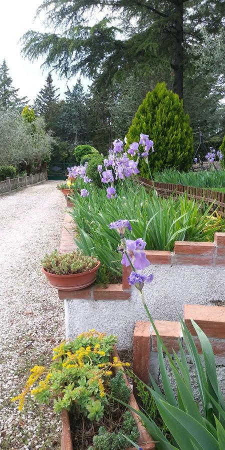 I Pini House Villa Magione Exterior photo